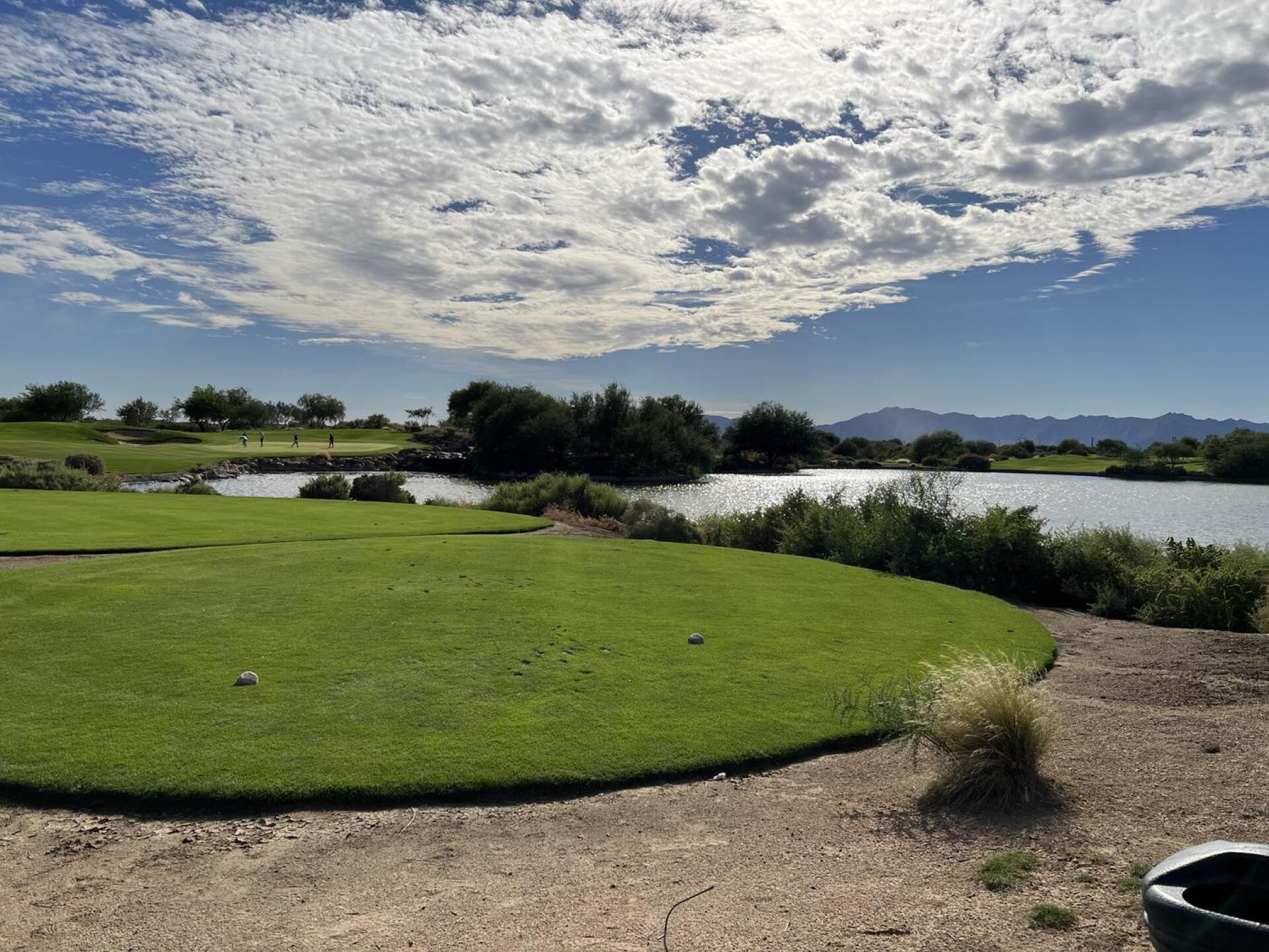 (Photo submitted by u128400273 on 10/10/2021)