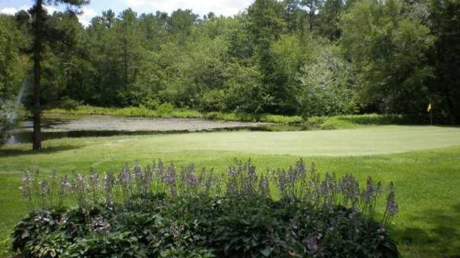 Frog Rock CC