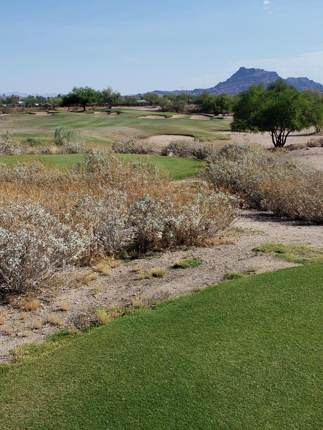 Reachable par 4 #8 (or play it safe with an iron) (Photo submitted by u314159785733 on 06/10/2021)