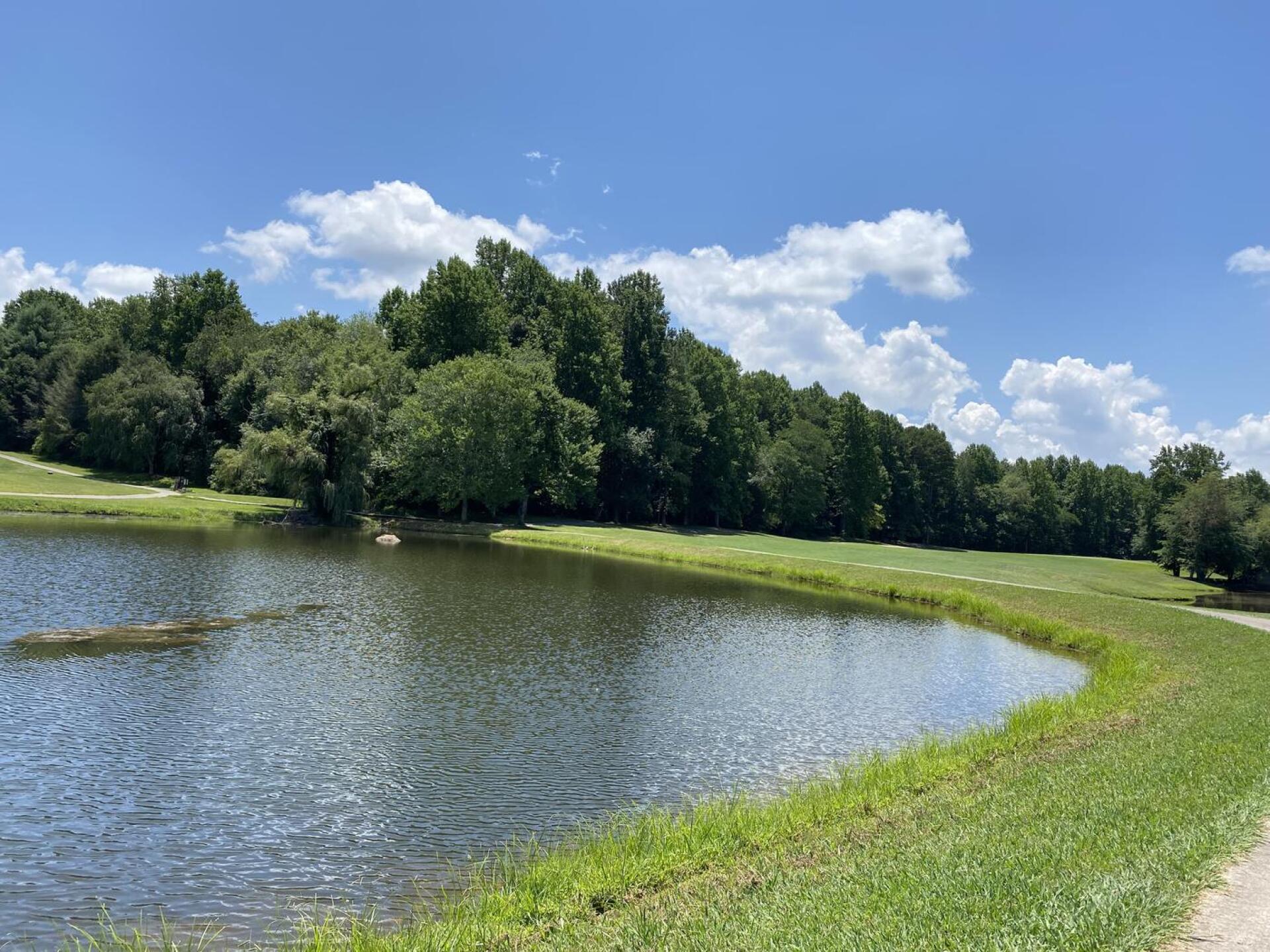 Beautiful views (Photo submitted by Gail1479875 on 07/17/2024)