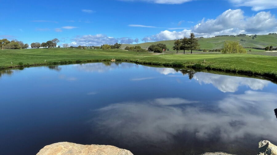 Eagle Vines GC: #8