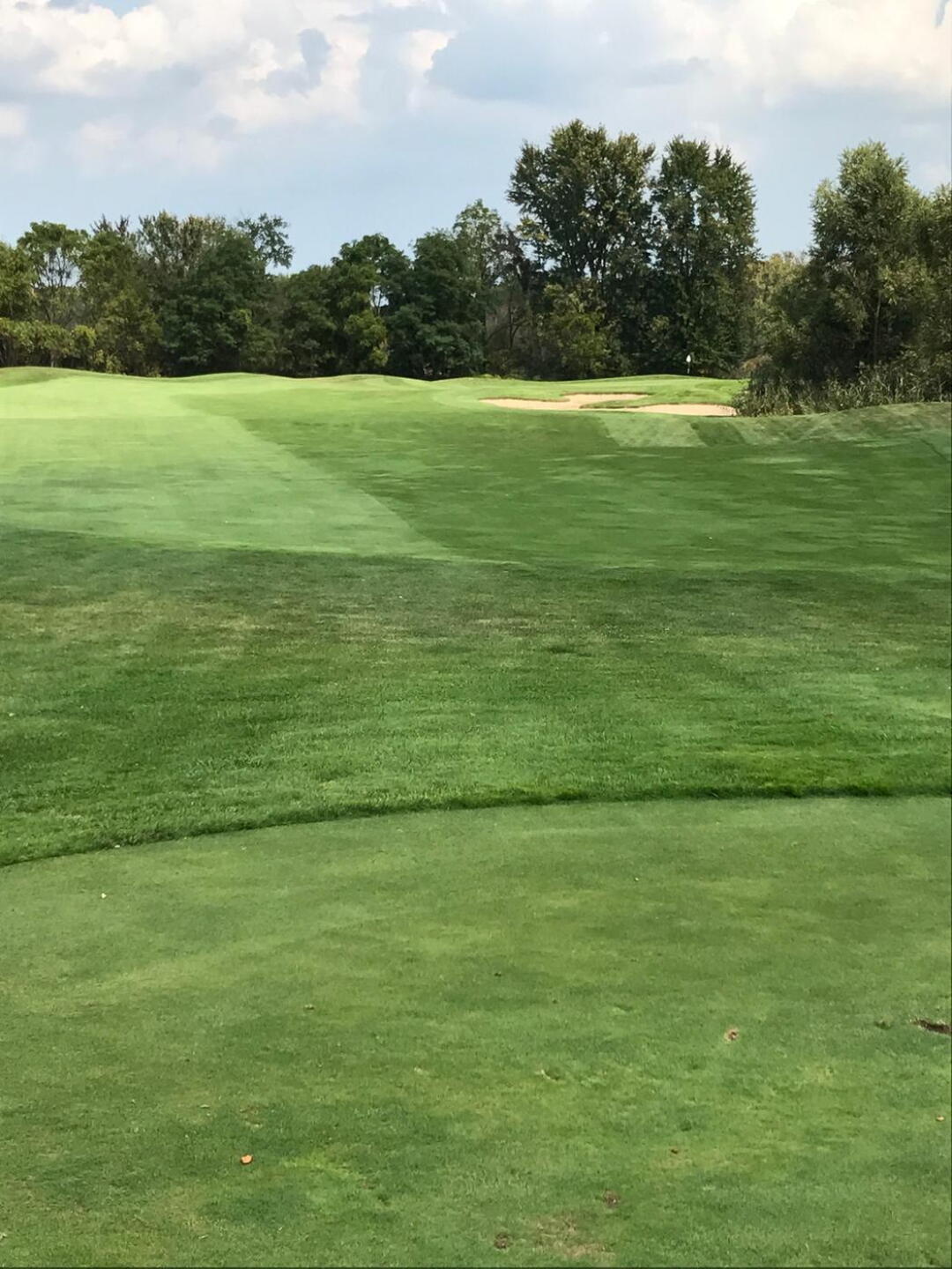 Par 4 fourth, short, drivable. (Photo submitted by carolinadad on 10/01/2017)
