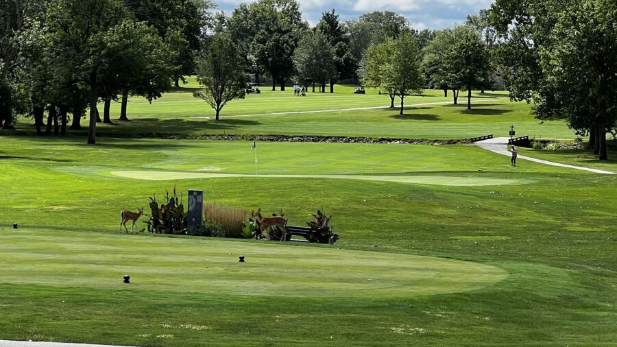 Turtle Run GC: #9