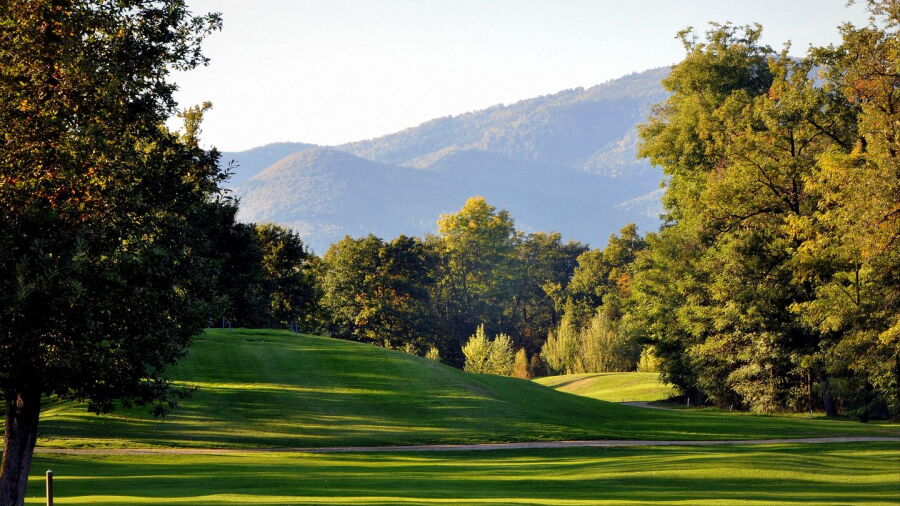 Des Bouleaux GC