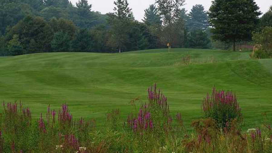 Blue Shamrock GC