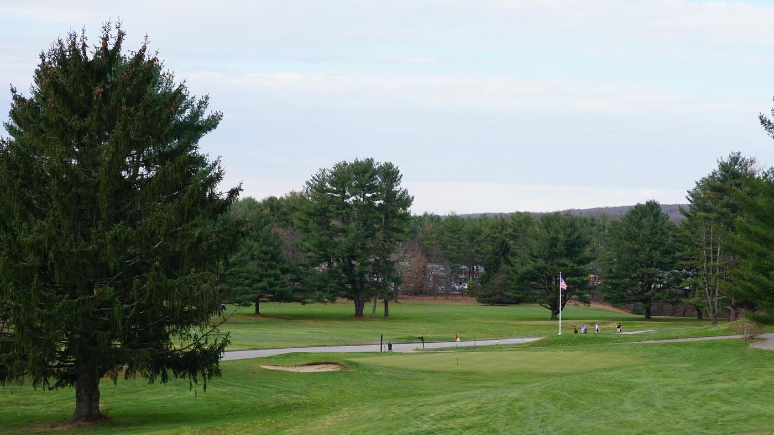 Green sixteen can be agonizing to putt; it slopes toward the road on this 3-par of 222. (Photo submitted by AptlyLinked on 11/21/2020)
