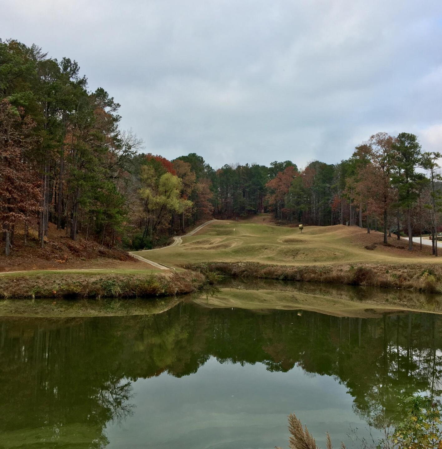 Par-3 16th hole. (Photo submitted by BrandonWebb on 12/01/2017)