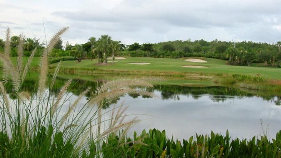 Copperleaf GC