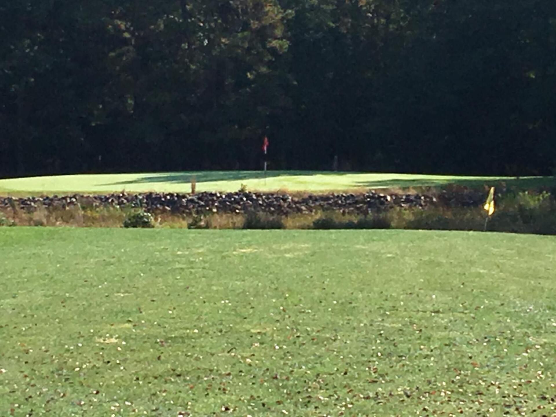 7 iron over the pond from 120 yds on to the green. (Photo submitted by RogerEK on 10/05/2019)