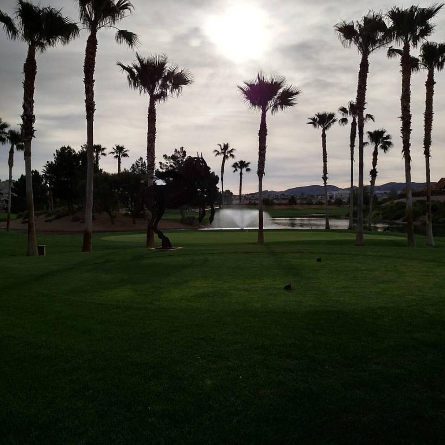 (Photo submitted by sorenj on 04/25/2017)