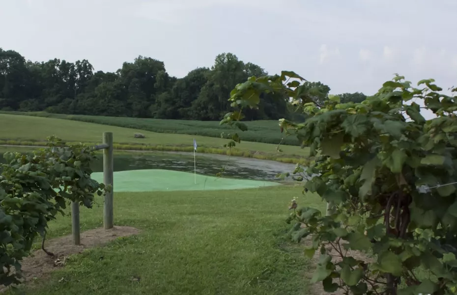 French Lick Golf & Guns