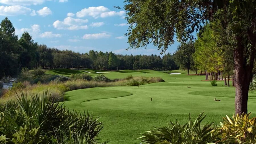 Golden Bear Club at Keene's Pointe: #10