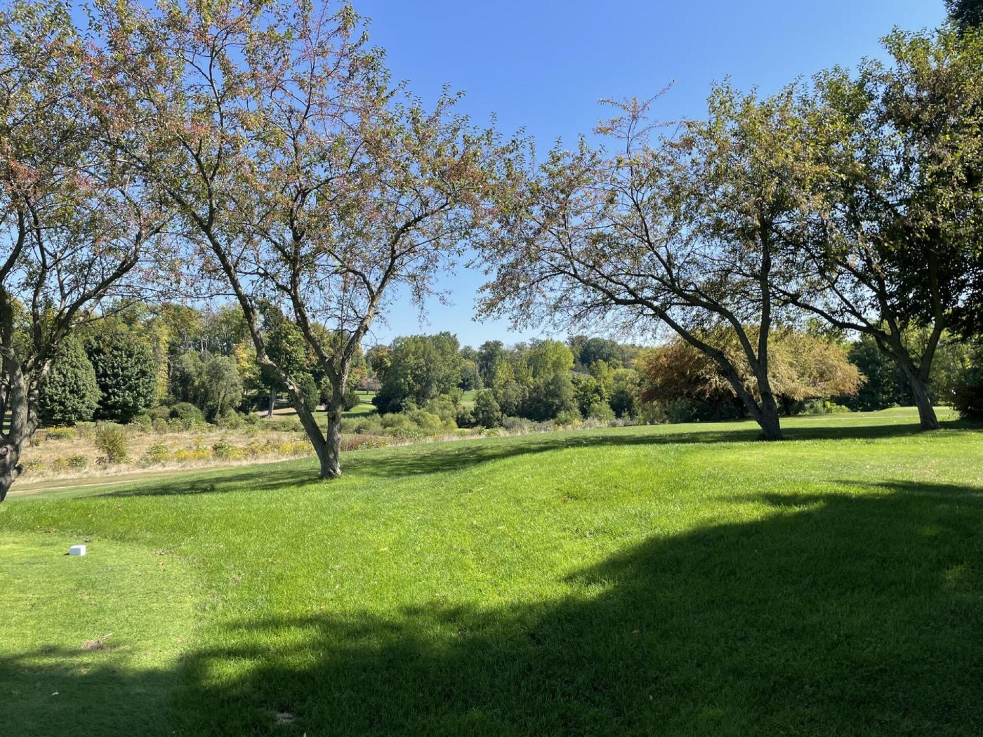 (Photo submitted by Carla3759498 on 09/20/2022)