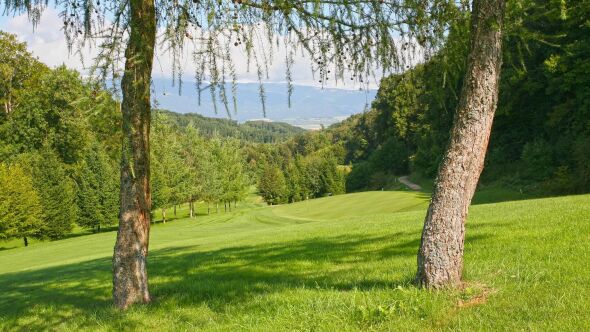 Domaine du Bresil GC