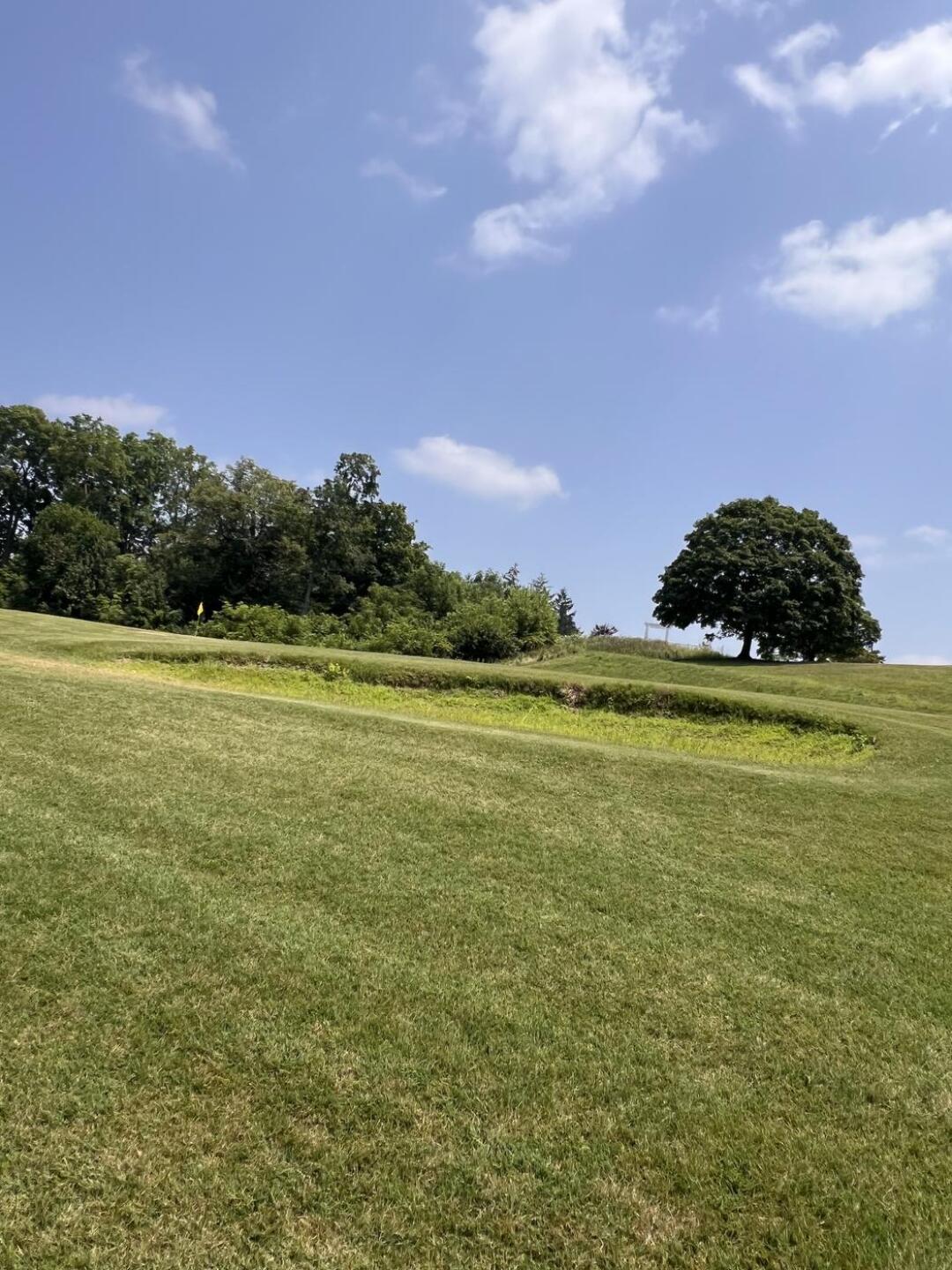 Tee box (Photo submitted by u000002880396 on 07/19/2026)