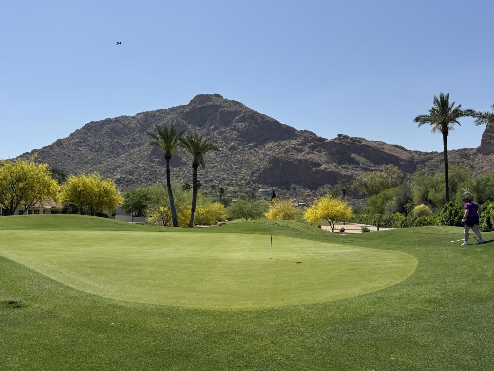 (Photo submitted by poppag on 03/30/2026)