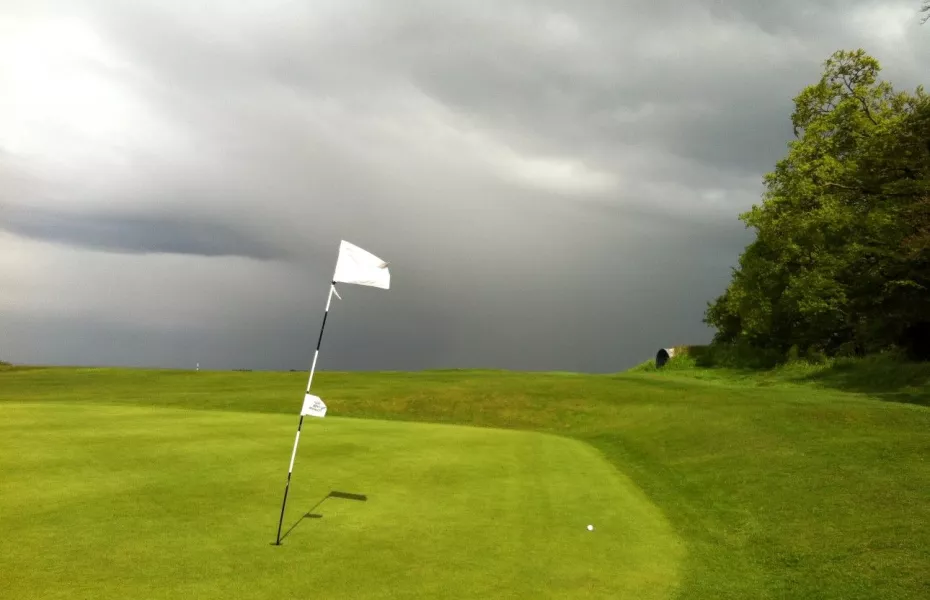 Royston GC: 4th green