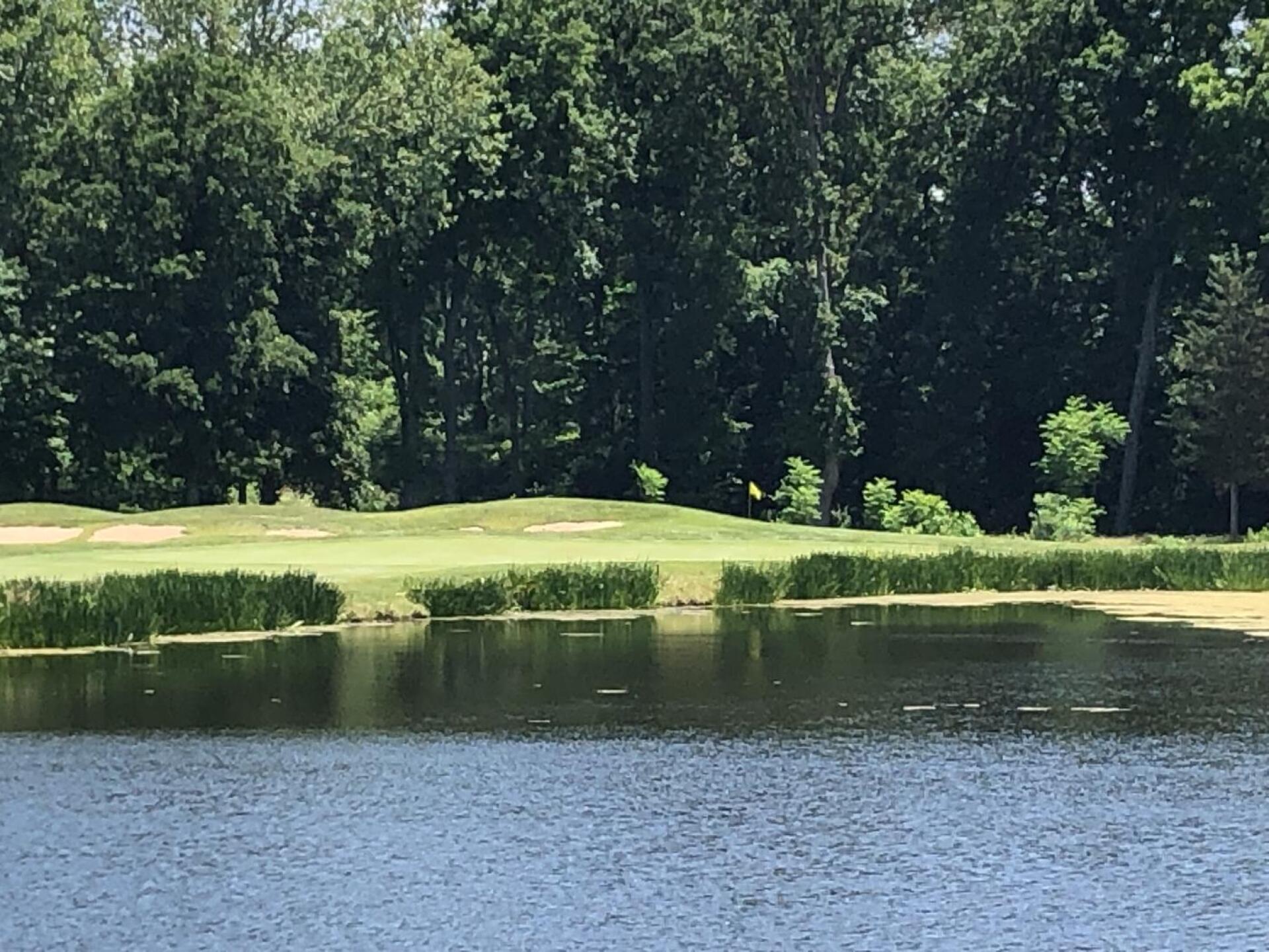 #4 - Par-3 (Photo submitted by BryanTweed16 on 07/09/2021)