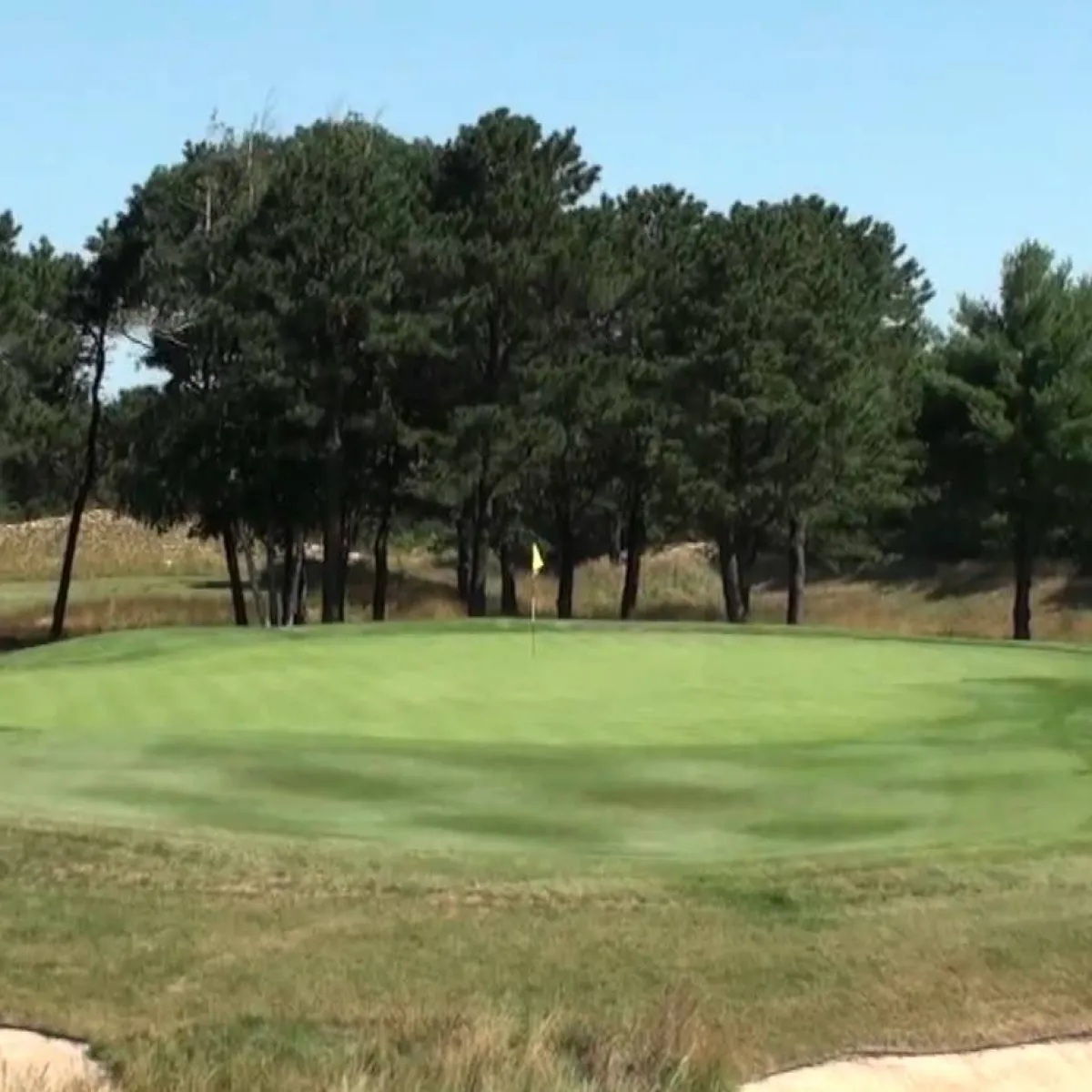 Pines at Colonial Springs Golf Course in Farmingdale, New York, USA ...