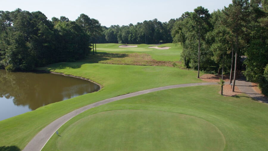 Wild Wing Plantation - Avocet: #17