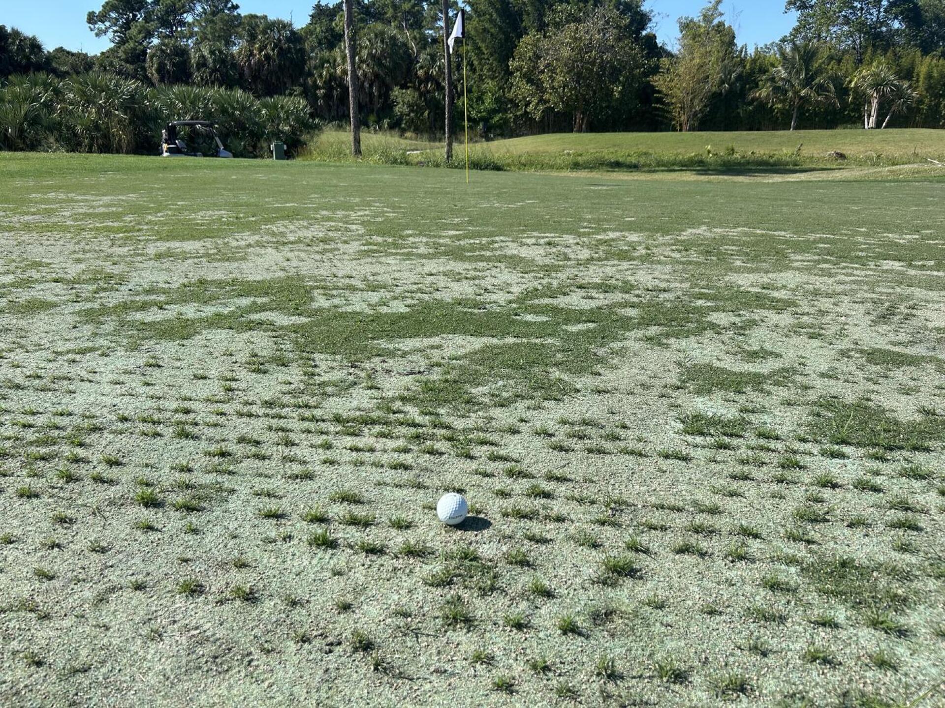 (Photo submitted by swallach91 on 11/25/2025)