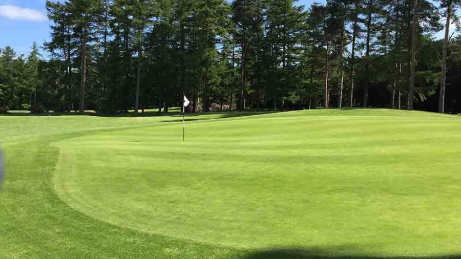 Forest Pines Hotel & Golf Resort - Beeches: #3