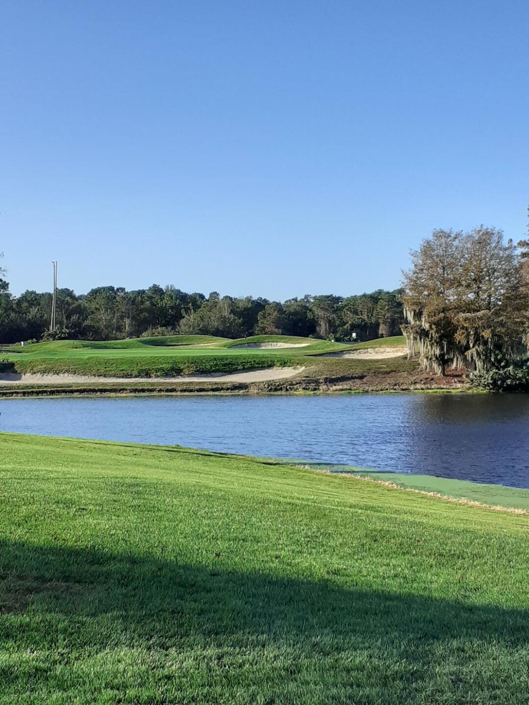 (Photo submitted by gc1123433947 on 01/05/2022)