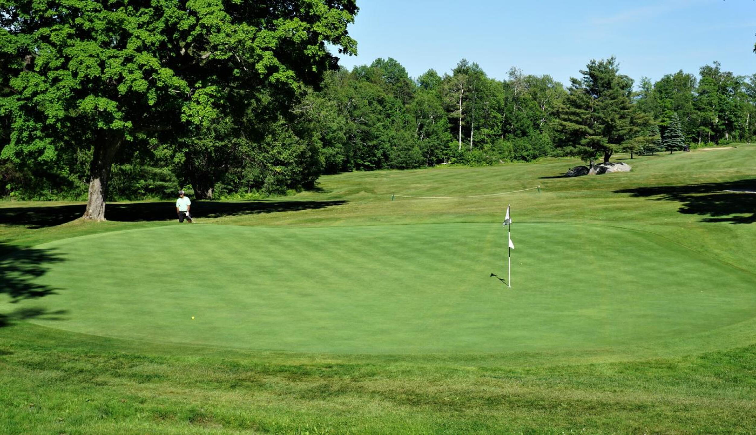 6th: Ross infused genius into this uphill 4-par (view from behind hole). After travelling uphill 411 yards around the dogleg left, the elevated green—a mild-punchbowl—may seem the least of your worries. (Photo submitted by AptlyLinked on 06/22/2020)