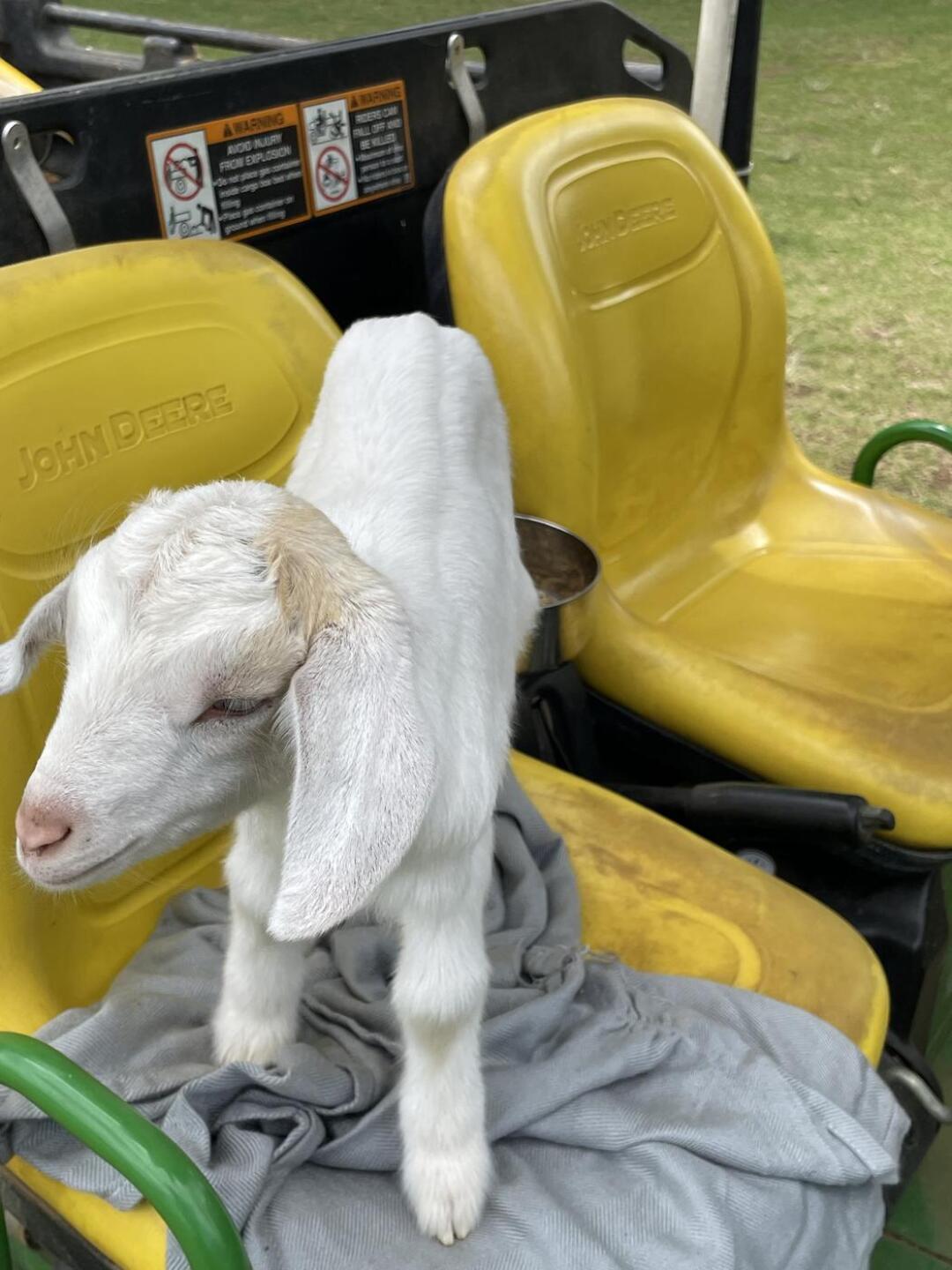 (Photo submitted by u151407197 on 04/01/2025)