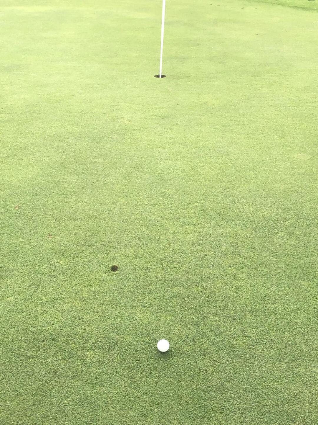 (Photo submitted by mcgills1 on 06/28/2023)