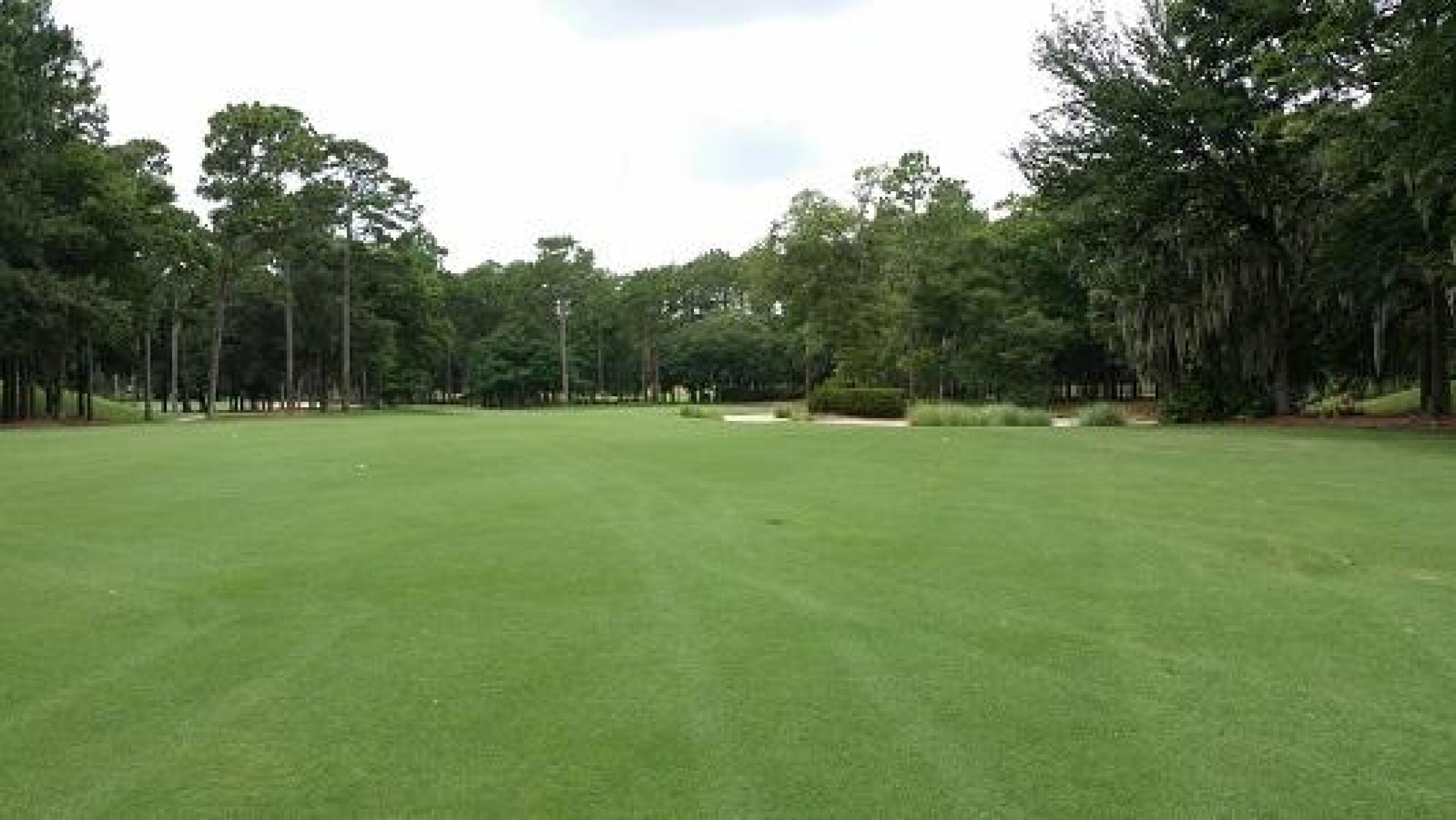 (Photo submitted by rsmy123 on 07/13/2014)