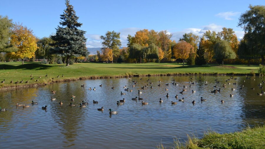 Mission Creek GC