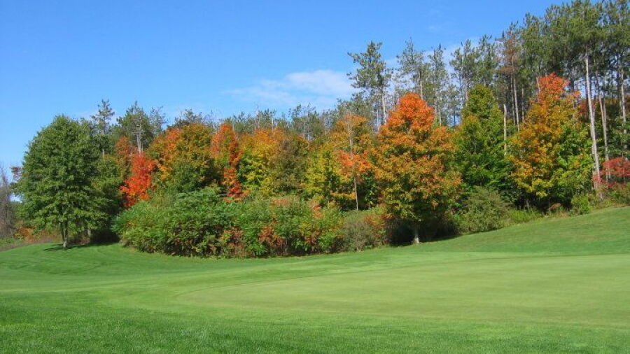 Red Hook GC: #1