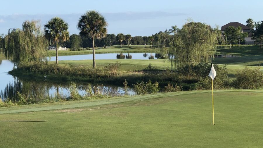 Black Bear GC