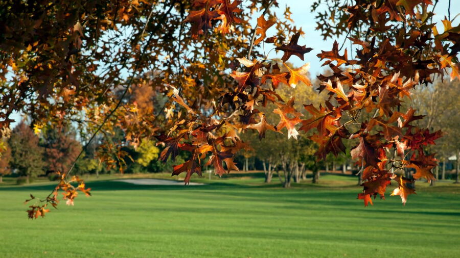 Foxchase CC