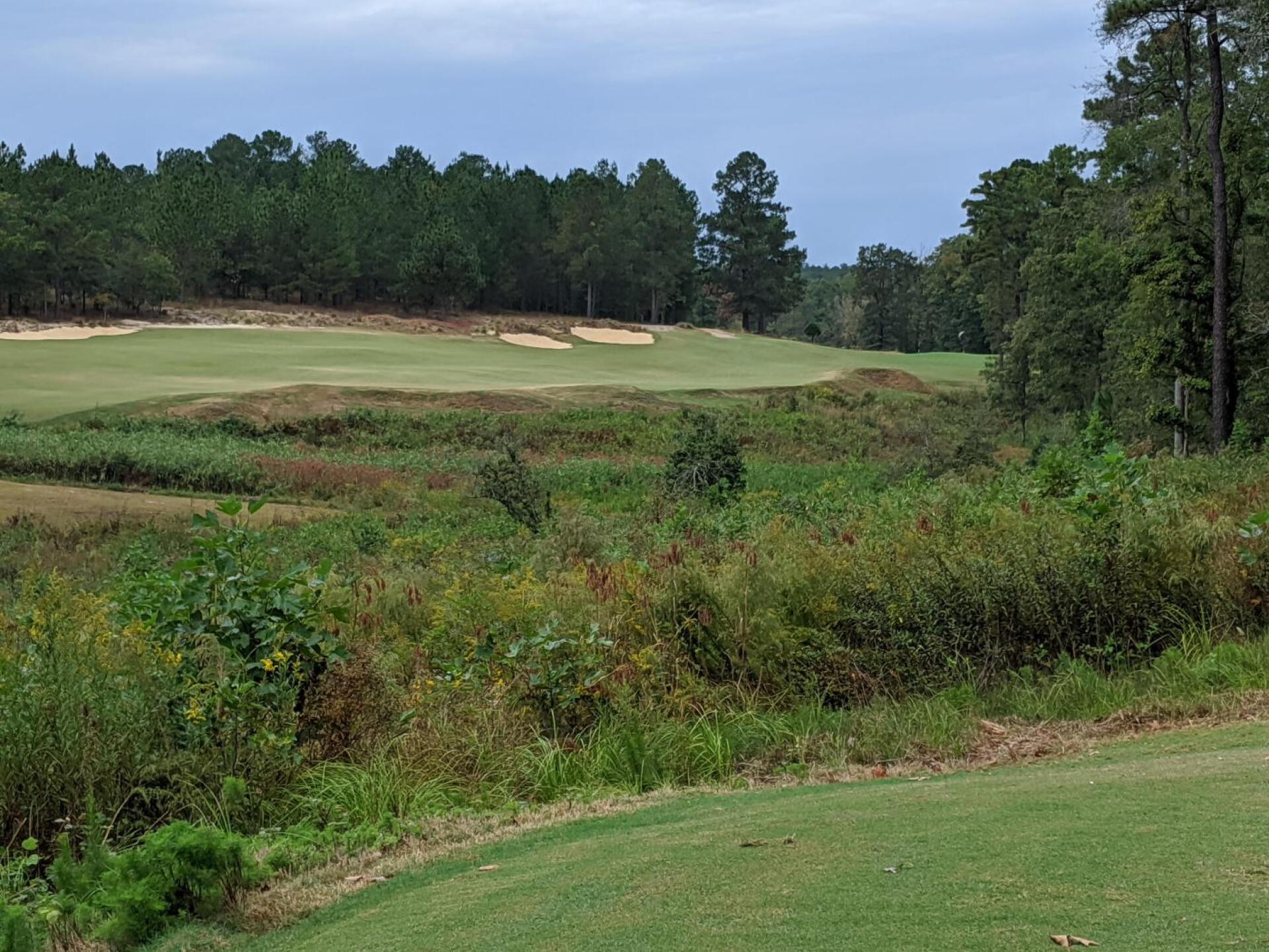 The Tee Shot at 15 (Photo submitted by GolferJake78 on 10/17/2019)