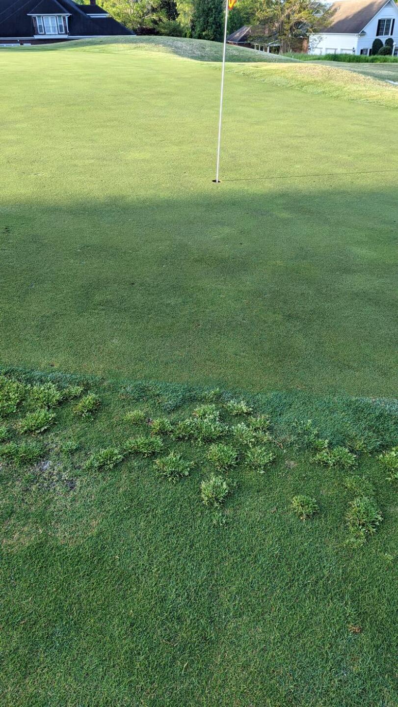 all uphill par 5 9th hole (Photo submitted by JayEmm on 04/24/2022)