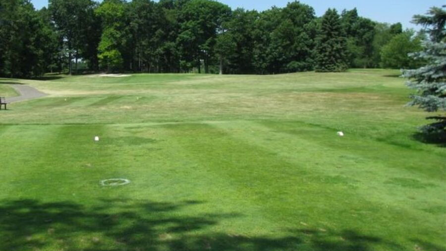 Tyrone Hills GC: #3