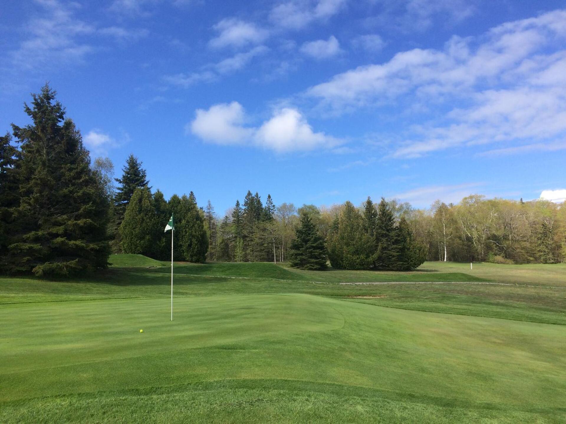 greens are small but can be challenging (Photo submitted by BrandonTuckerGA on 06/01/2017)