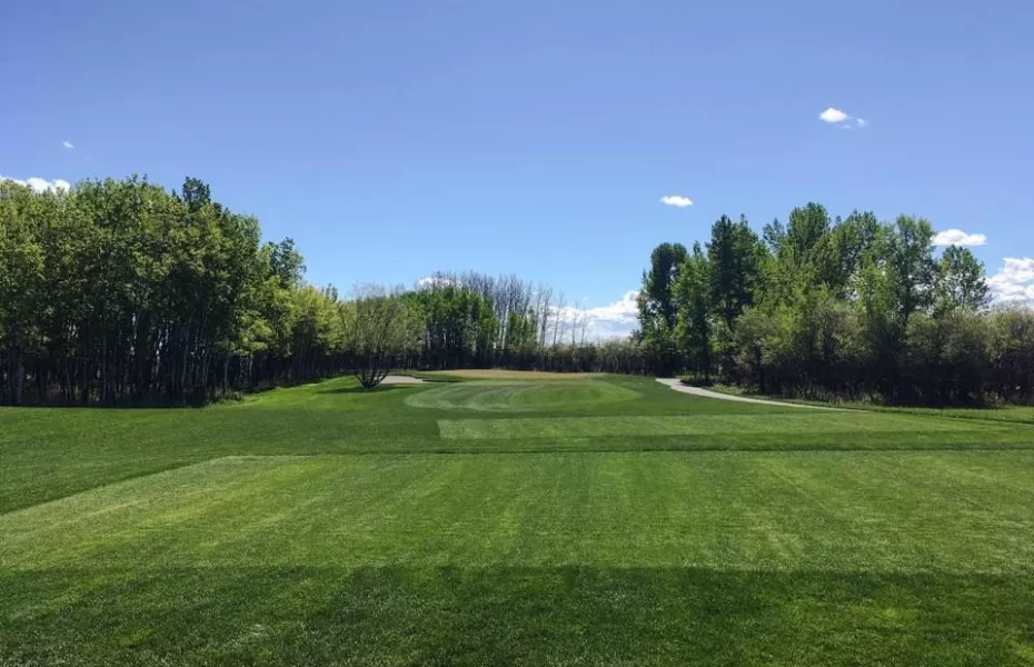 Serenity GC - Dancing Bull