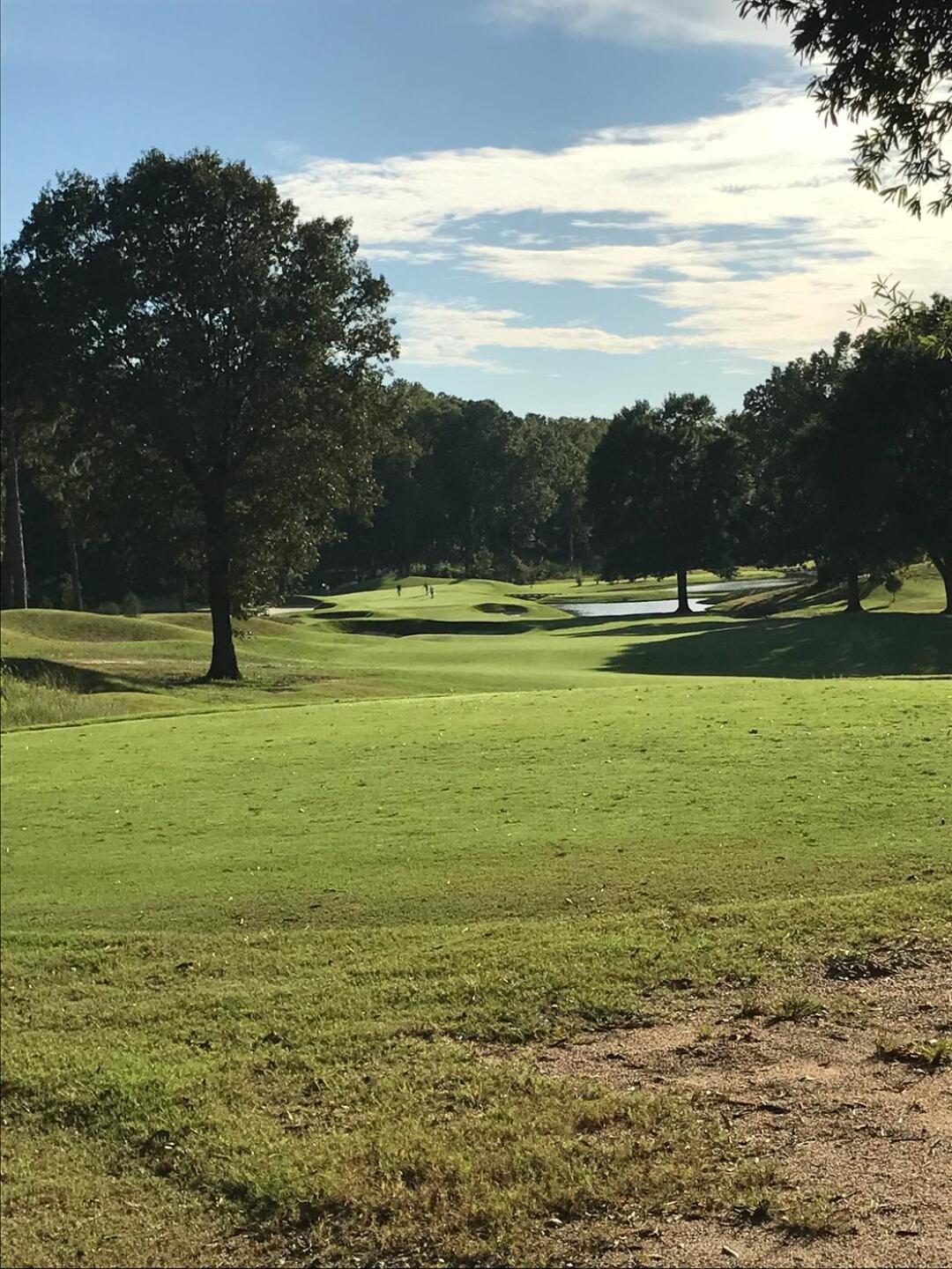 (Photo submitted by Beebs4201 on 10/02/2017)