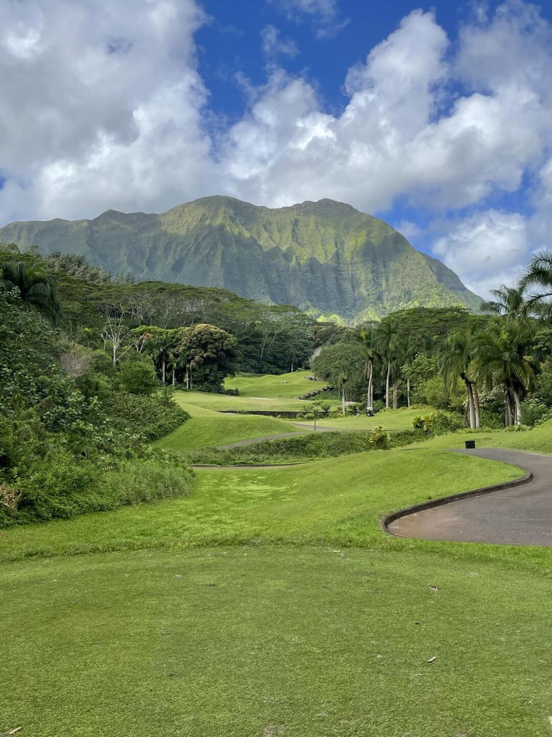 (Photo submitted by belloir45 on 01/21/2023)