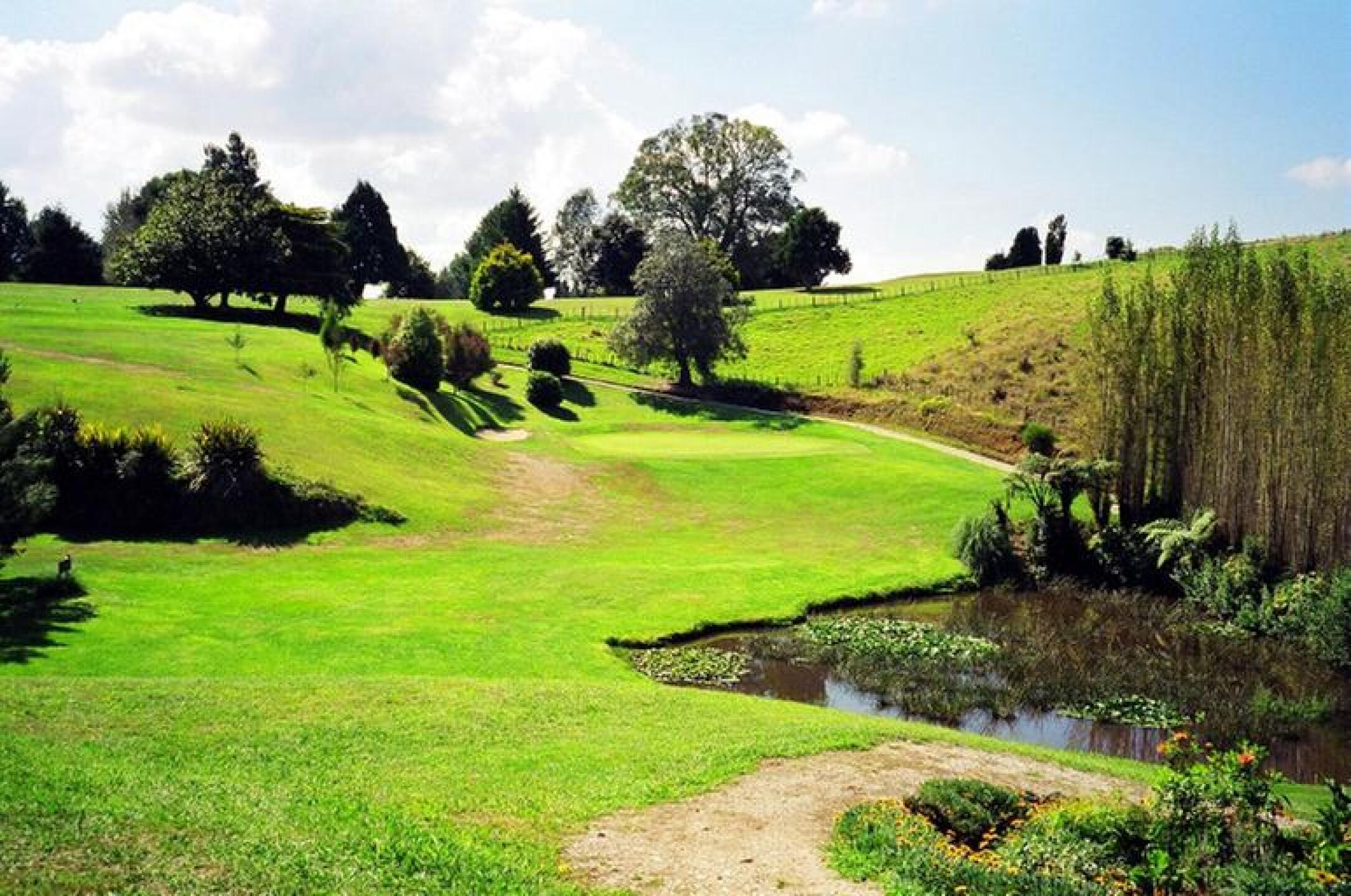 Waitomo Golf Club, Hole 6, Par 3, 166 yds (Photo submitted by DYakimec on 08/29/2018)