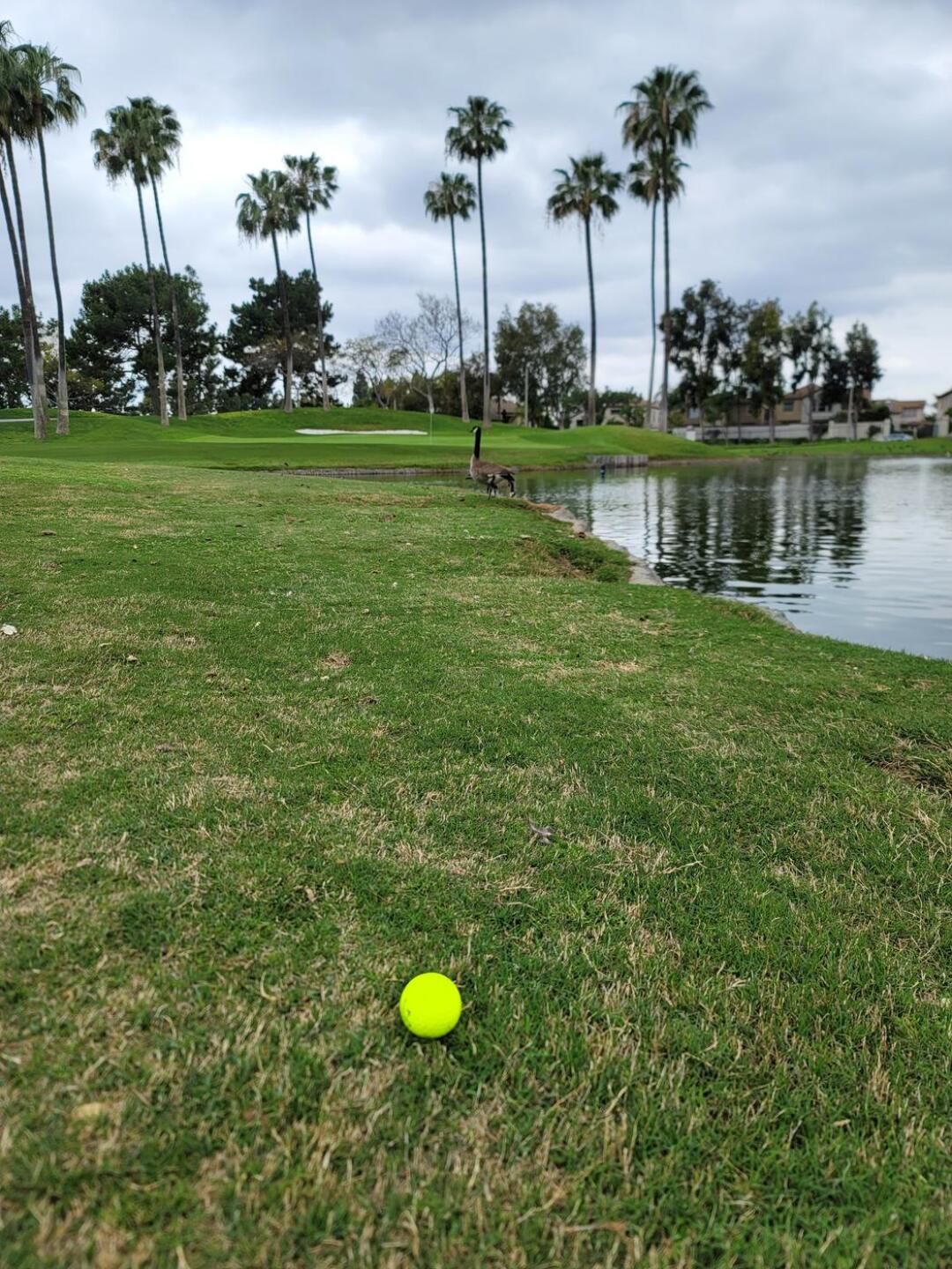 1 (Photo submitted by AValverde on 04/04/2022)