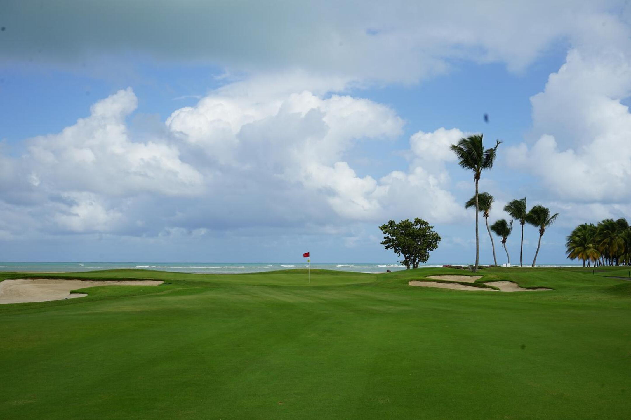 The Puerto Rico Open is played on the Championship Course at Grand Reserve. The PGA professionals praise it for its design, conditions, layout, weather, and scenery. (Photo submitted by MIXGLWgwdYsEKM7yiyZF on 05/21/2024)