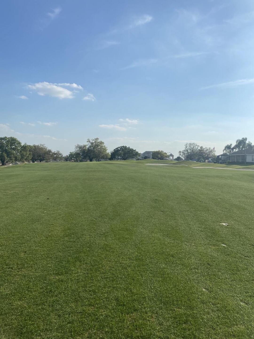 (Photo submitted by u314163712552 on 02/26/2023)