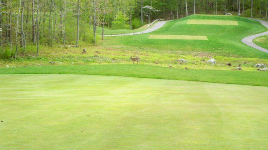 Crestbrook Park GC