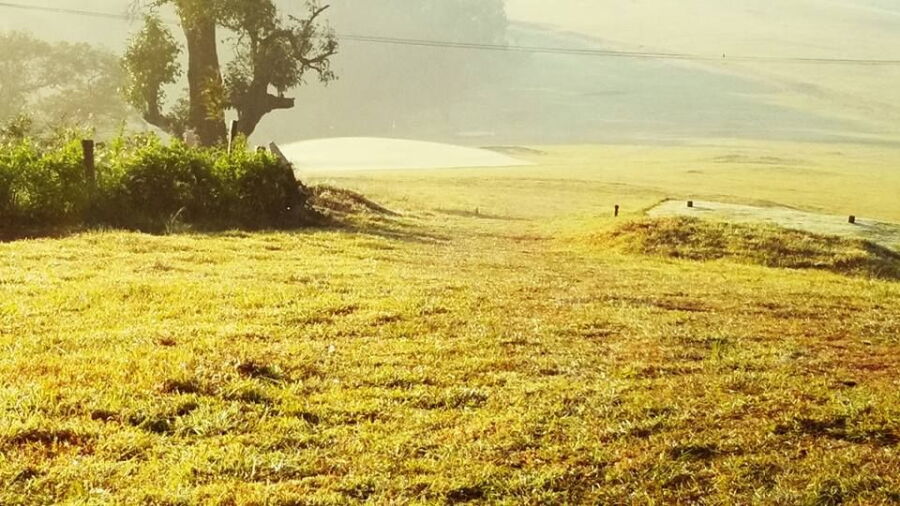 Mercara Downs GC