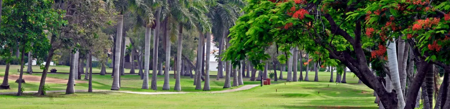 Moro Course at El Cid Country Club 