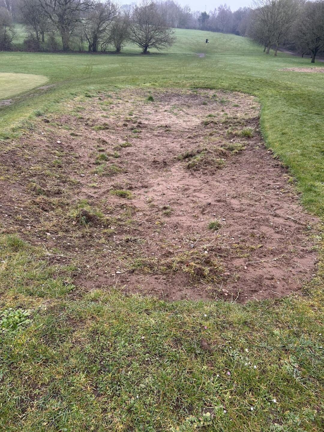 (Photo submitted by t946062625 on 03/24/2025)